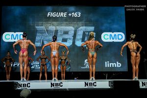 FIGURE +163
